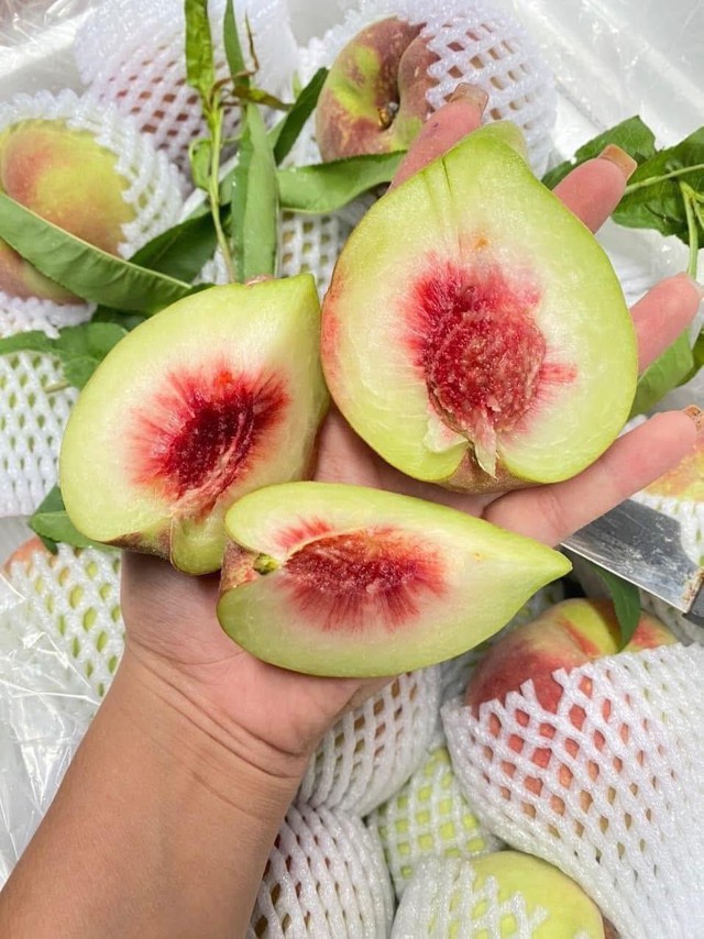 Đào mỏ quạ vào mùa bán đầy thị trường, tiểu thương chỉ cách phân biệt hàng Việt Nam và Trung Quốc - Ảnh 13. Đào mỏ quạ vào mùa bán đầy thị trường, tiểu thương chỉ cách phân biệt hàng Việt Nam và Trung Quốc - Ảnh 13.
