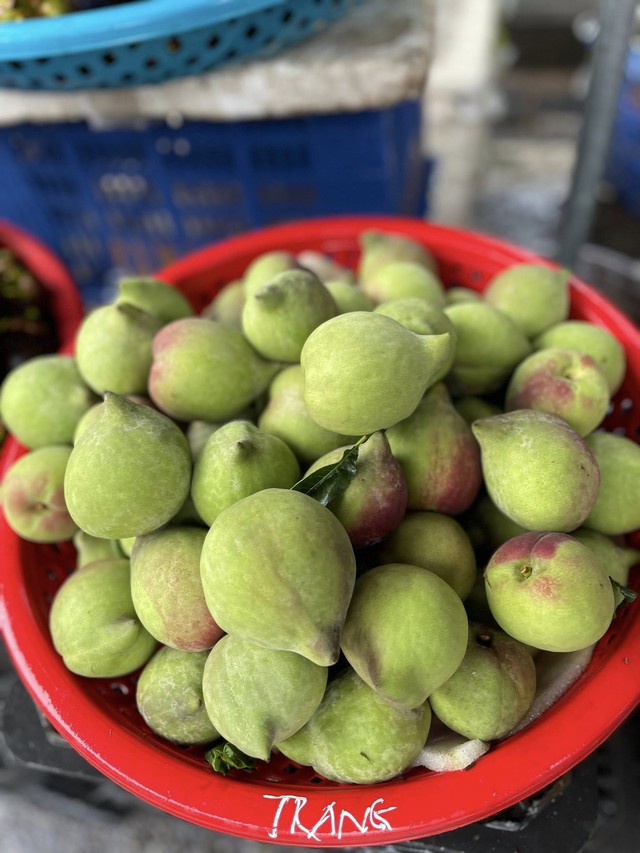 Đào mỏ quạ vào mùa bán đầy thị trường, tiểu thương chỉ cách phân biệt hàng Việt Nam và Trung Quốc - Ảnh 11. Đào mỏ quạ vào mùa bán đầy thị trường, tiểu thương chỉ cách phân biệt hàng Việt Nam và Trung Quốc - Ảnh 11.