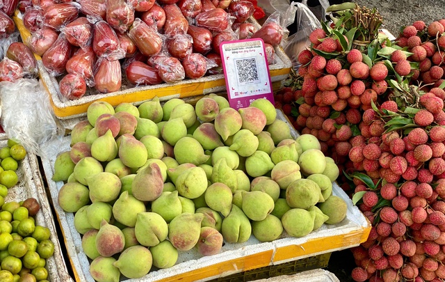 Đào mỏ quạ vào mùa bán đầy thị trường, tiểu thương chỉ cách phân biệt hàng Việt Nam và Trung Quốc - Ảnh 6. Đào mỏ quạ vào mùa bán đầy thị trường, tiểu thương chỉ cách phân biệt hàng Việt Nam và Trung Quốc - Ảnh 6.