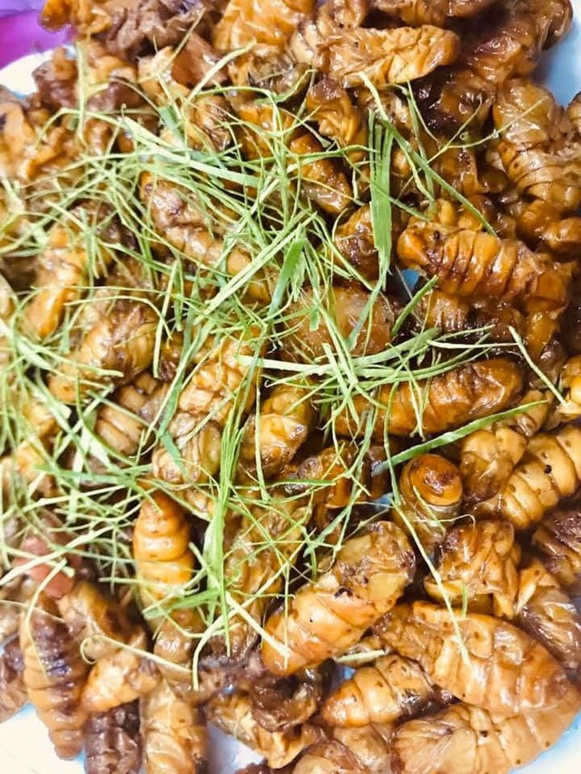 Món nhộng tằm rất ngon nhưng mẹ dặn tôi phải biết một điều, kẻo một lần ăn sai cả đời sợ hãi- Ảnh 2. Món nhộng tằm rất ngon nhưng mẹ dặn tôi phải biết một điều, kẻo một lần ăn sai cả đời sợ hãi- Ảnh 2.