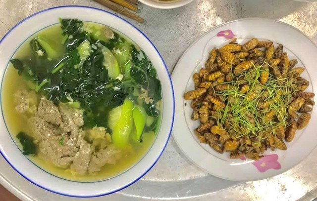 Món nhộng tằm rất ngon nhưng mẹ dặn tôi phải biết một điều, kẻo một lần ăn sai cả đời sợ hãi- Ảnh 5. Món nhộng tằm rất ngon nhưng mẹ dặn tôi phải biết một điều, kẻo một lần ăn sai cả đời sợ hãi- Ảnh 5.