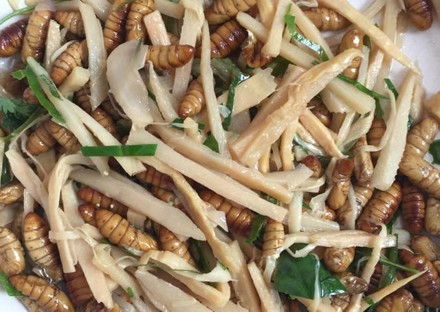 Món nhộng tằm rất ngon nhưng mẹ dặn tôi phải biết một điều, kẻo một lần ăn sai cả đời sợ hãi- Ảnh 3. Món nhộng tằm rất ngon nhưng mẹ dặn tôi phải biết một điều, kẻo một lần ăn sai cả đời sợ hãi- Ảnh 3.