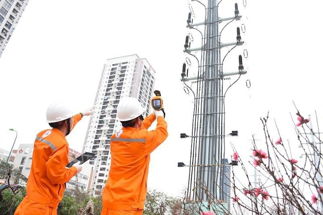 Lịch cúp điện Đồng Tháp từ ngày 13 – 17/8/2025: Hàng loạt khách hàng nằm trong diện cúp điện- Ảnh 1.