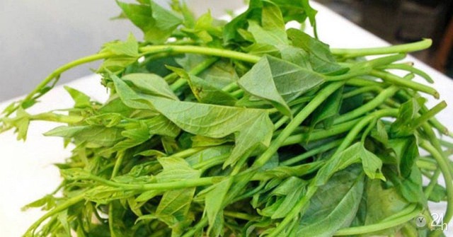 rau-khoai-lang-17549703034541354256519.jpg