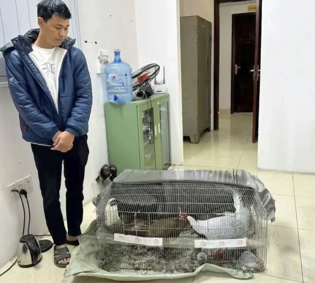 Tin sáng 13/8: Những trụ sở cơ quan nào phải di dời để phục vụ cải tạo khu vực Hồ Gươm? Thông tin mới vụ lĩnh 6 năm tù vì nuôi bán 13 con gà lôi trắng - Ảnh 3. Tin sáng 13/8: Những trụ sở cơ quan nào phải di dời để phục vụ cải tạo khu vực Hồ Gươm? Thông tin mới vụ lĩnh 6 năm tù vì nuôi bán 13 con gà lôi trắng - Ảnh 3.