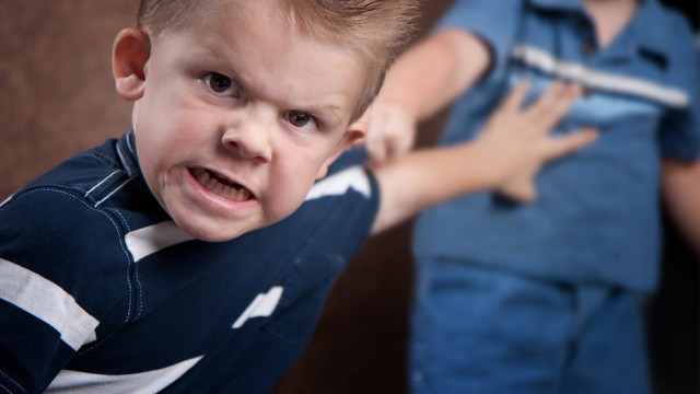 Vì sao trẻ nhỏ lại có 2 'bộ mặt': Ở nhà thì hung hăng, ra ngoài lại nhút nhát? - Ảnh 3.