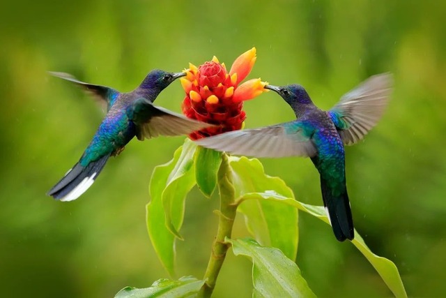 Tháng sinh Âm lịch đại phú đại quý: Sinh ra định sẵn giàu sang, hậu vận an nhàn- Ảnh 1.