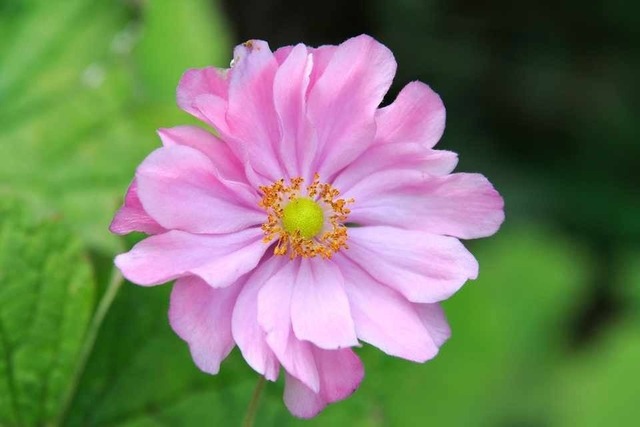 Khung giờ sinh Âm lịch cực đẹp: Trẻ mang 'mệnh quý nhân', cả đời cha mẹ nở mày nở mặt- Ảnh 3.
