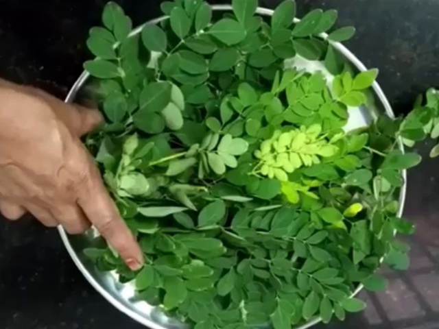 Loại rau 'siêu thực phẩm' có lượng canxi cao gấp 4 lần sữa, kiểm soát đường huyết và giảm mỡ nội tạng cực tốt, ra chợ thấy nhớ mua ngay- Ảnh 1.