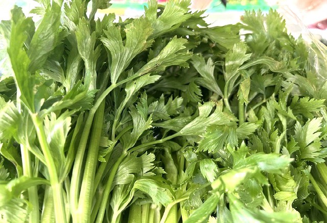 Bất ngờ bộ phận của rau cần tây hay bỏ đi là siêu thực phẩm giúp thải độc gan, dễ dàng trong chế biến- Ảnh 3.