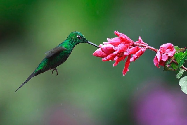 Tháng sinh Âm lịch tiết lộ vận mệnh: Người sinh vào những tháng này cả đời thuận lợi, hanh thông - Ảnh 1. Tháng sinh Âm lịch tiết lộ vận mệnh: Người sinh vào những tháng này cả đời thuận lợi, hanh thông - Ảnh 1.