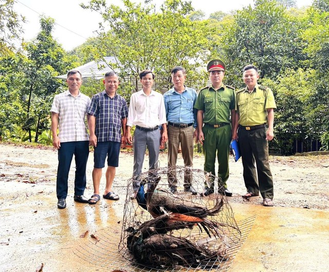 Người dân giao nộp nhiều cá thể động vật quý hiếm- Ảnh 1.