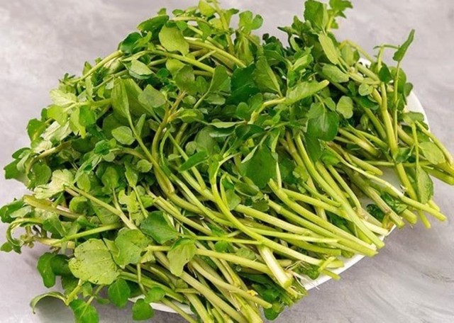 Bất ngờ với món rau được CDC Mỹ công bố tốt nhất thế giới, hỗ trợ thải độc gan có ở chợ Việt, nhiều người bỏ qua- Ảnh 3. Bất ngờ với món rau được CDC Mỹ công bố tốt nhất thế giới, hỗ trợ thải độc gan có ở chợ Việt, nhiều người bỏ qua- Ảnh 3.