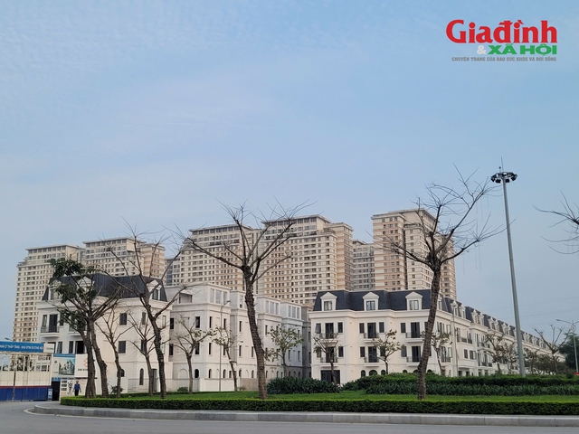 Từ Quý IV/2025, ngân hàng không có quyền thu giữ nhà ở duy nhất của 'con nợ'- Ảnh 2.