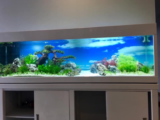 Đây là những vị trí cực xấu, nhà chật hẹp đến mấy cũng không nên đặt bàn thờ- Ảnh 3.