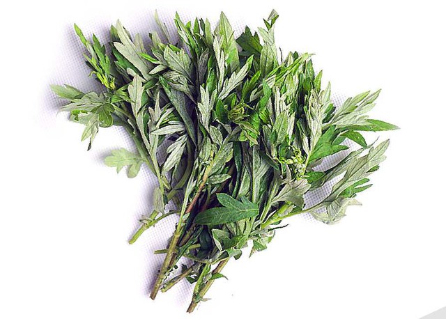 Xua đuổi ‘vận đen’ tháng 'cô hồn' và cả quanh năm bằng các loại cây cảnh trừ tà nhưng tuyệt đẹp sau- Ảnh 6.