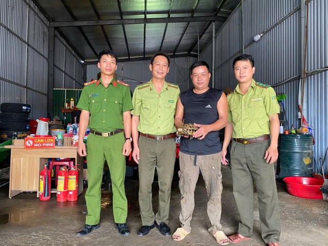 Hi hữu rùa núi vàng quý hiếm bò 'lạc' vào nhà dân ở Hà Tĩnh- Ảnh 1. Hi hữu rùa núi vàng quý hiếm bò 'lạc' vào nhà dân ở Hà Tĩnh- Ảnh 1.