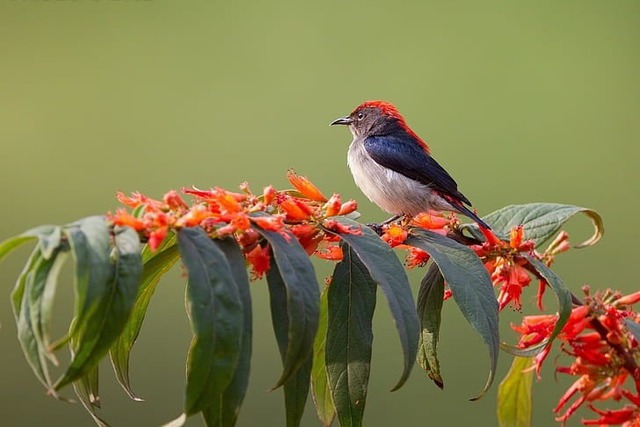 Ngày sinh Âm lịch của người có vận may nổi bật, tiền tài vượng phát- Ảnh 2. Ngày sinh Âm lịch của người có vận may nổi bật, tiền tài vượng phát- Ảnh 2.