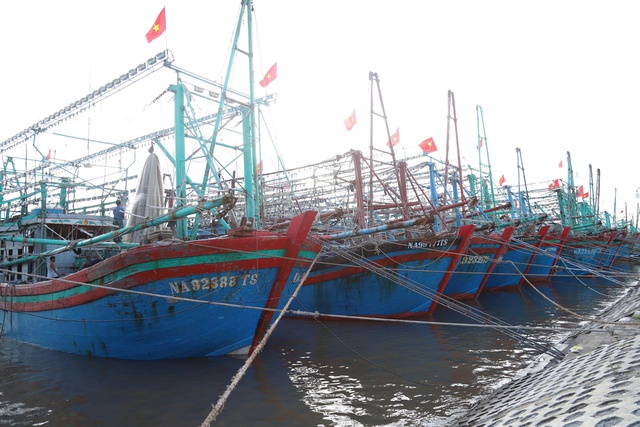 lo-bao-do-bo-ngu-dan-nghe-an-hoi-ha-dua-thuyen-di-tranh12-17560020086181704046989.jpg