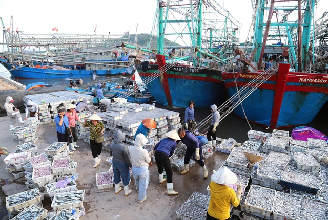 lo-bao-do-bo-ngu-dan-nghe-an-hoi-ha-dua-thuyen-di-tranh14-175600200864690471421.jpg