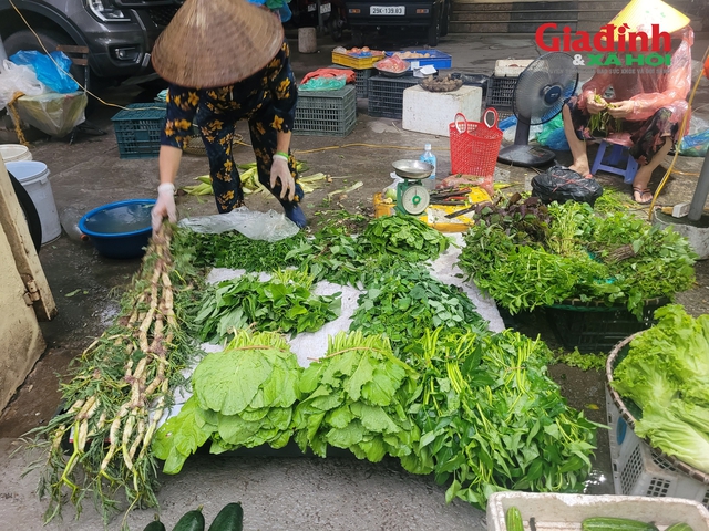 Rau xanh Hà Nội tăng giá gấp đôi vì ảnh hưởng bão số 5- Ảnh 1. Rau xanh Hà Nội tăng giá gấp đôi vì ảnh hưởng bão số 5- Ảnh 1.