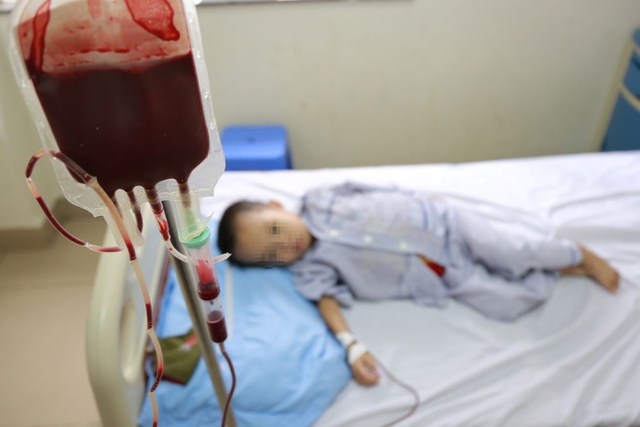 Trăn trở đẩy lùi nỗi đau Thalassemia- Ảnh 3. Trăn trở đẩy lùi nỗi đau Thalassemia- Ảnh 3.