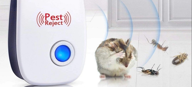 Cách ngừa và khắc phục chuột gặm đứt dây điện cửa tự động- Ảnh 4.