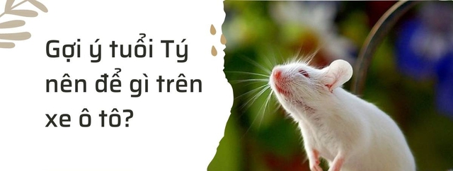 Phong thủy nội thất ô tô cho tuổi Tý và tuổi Sửu giúp bạn luôn vạn dặm bình an, tài lộc dư dả- Ảnh 2. Phong thủy nội thất ô tô cho tuổi Tý và tuổi Sửu giúp bạn luôn vạn dặm bình an, tài lộc dư dả- Ảnh 2.