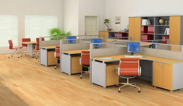 Loài cây hóa giải sát khí trong văn phòng làm việc giảm stress hiệu quả - Ảnh 1.