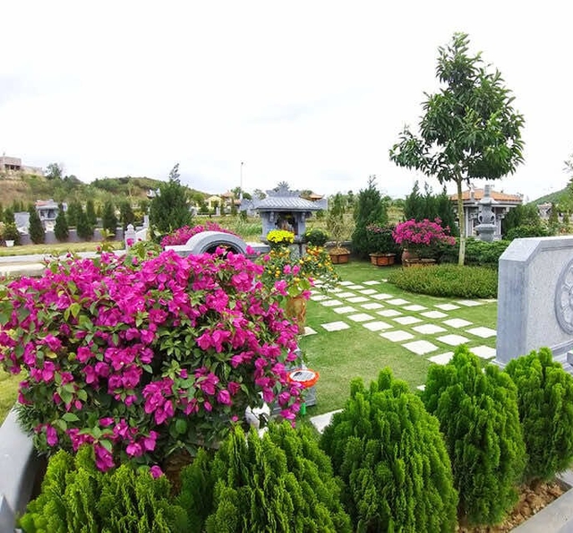 Tại sao bạn nên biết những cây không nên trồng ở mộ? - Ảnh 3. Tại sao bạn nên biết những cây không nên trồng ở mộ? - Ảnh 3.