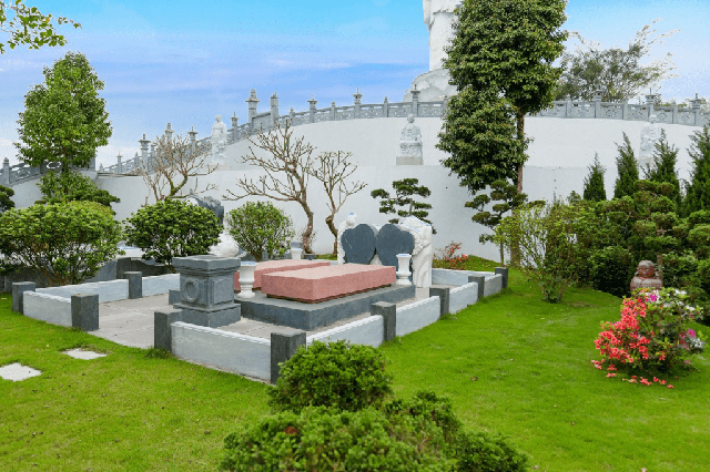 Tại sao bạn nên biết những cây không nên trồng ở mộ? - Ảnh 1. Tại sao bạn nên biết những cây không nên trồng ở mộ? - Ảnh 1.