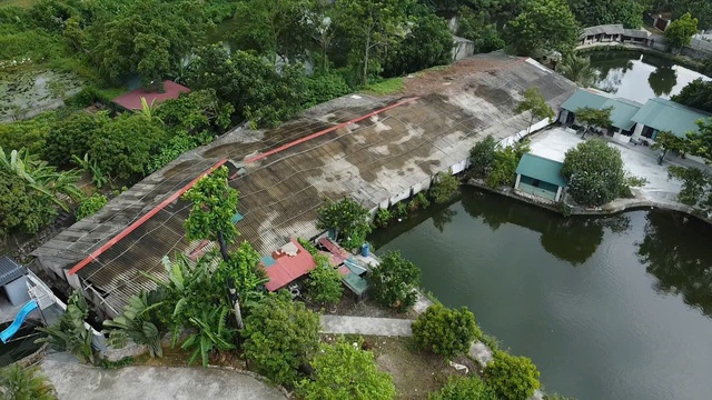 Phú Thọ: Cuộc sống cư dân bị ảnh hưởng bởi trại gà lớn giữa thôn Đất Đỏ - Ảnh 2.