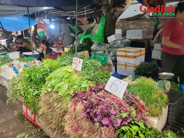 Giá chanh và thực phẩm trong bão Ragasa: Tăng nhẹ nhưng vẫn ổn định - Ảnh 2.