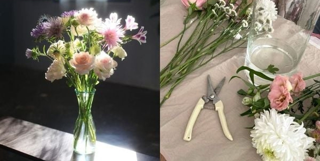 Bật mí cách cắm hoa tươi lâu - Ảnh 1.