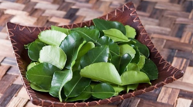 Lá bưởi: Thần dược cho sức khỏe và món chả cuốn hao cơm - Ảnh 2.