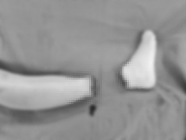 base64-1756979084513538634019.jpeg