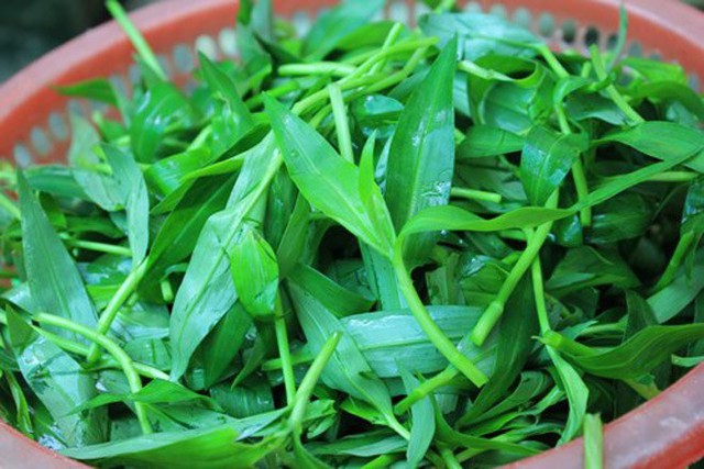 Thài lài - rau dại qúy giá , món ngon không thể bỏ qua sau mưa - Ảnh 2. Thài lài - rau dại qúy giá , món ngon không thể bỏ qua sau mưa - Ảnh 2.