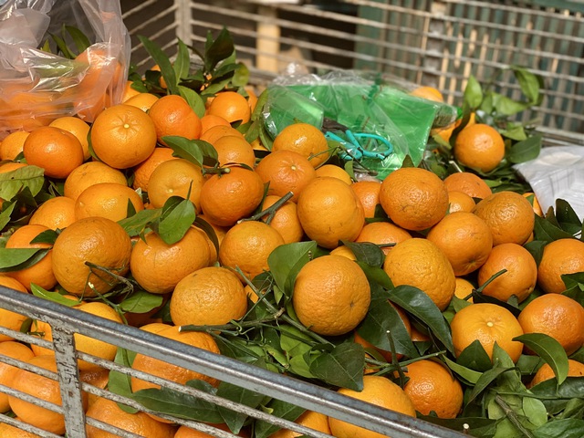 Một loại cam Trung Quốc đổ bộ chợ Việt gi&aacute; rẻ b&egrave;o, được người ti&ecirc;u d&ugrave;ng ưa chuộng hơn cả cam Việt - Ảnh 3.