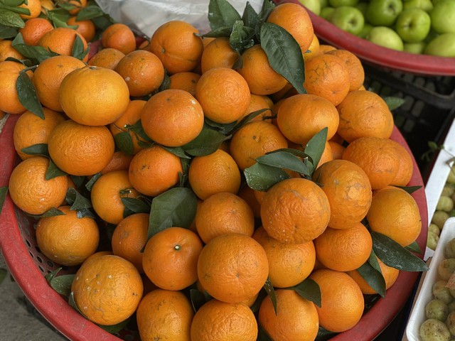 Tiểu thương “hé lộ” về nguồn gốc của một loại cam quen thuộc được người tiêu dùng Việt tiêu thụ mỗi ngày - Ảnh 2. Tiểu thương “hé lộ” về nguồn gốc của một loại cam quen thuộc được người tiêu dùng Việt tiêu thụ mỗi ngày - Ảnh 2.