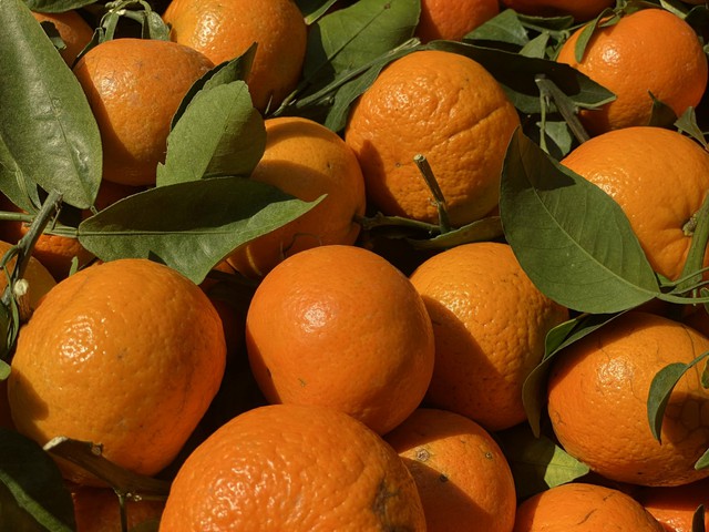 Tiểu thương “hé lộ” về nguồn gốc của một loại cam quen thuộc được người tiêu dùng Việt tiêu thụ mỗi ngày - Ảnh 3. Tiểu thương “hé lộ” về nguồn gốc của một loại cam quen thuộc được người tiêu dùng Việt tiêu thụ mỗi ngày - Ảnh 3.