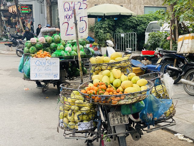 Loại qu&yacute;t m&atilde; r&aacute;m c&oacute; g&igrave; đặc biệt m&agrave; khiến tiểu thương Việt nhập h&agrave;ng tạ mỗi ng&agrave;y - Ảnh 1.