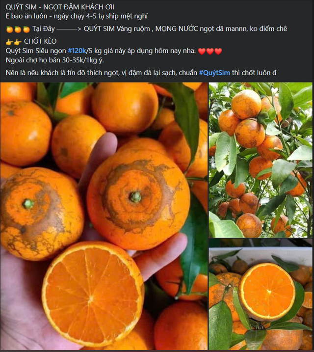 Loại qu&yacute;t m&atilde; r&aacute;m c&oacute; g&igrave; đặc biệt m&agrave; khiến tiểu thương Việt nhập h&agrave;ng tạ mỗi ng&agrave;y - Ảnh 3.