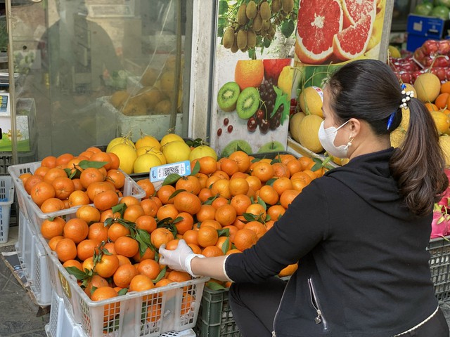 Tiết lộ của tiểu thương về nguồn gốc thực sự của loại qu&yacute;t sim gi&aacute; rẻ đang b&aacute;n đầy thị trường - Ảnh 3.