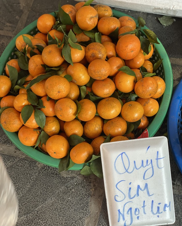 Tiết lộ của tiểu thương về nguồn gốc thực sự của loại qu&yacute;t sim gi&aacute; rẻ đang b&aacute;n đầy thị trường - Ảnh 2.