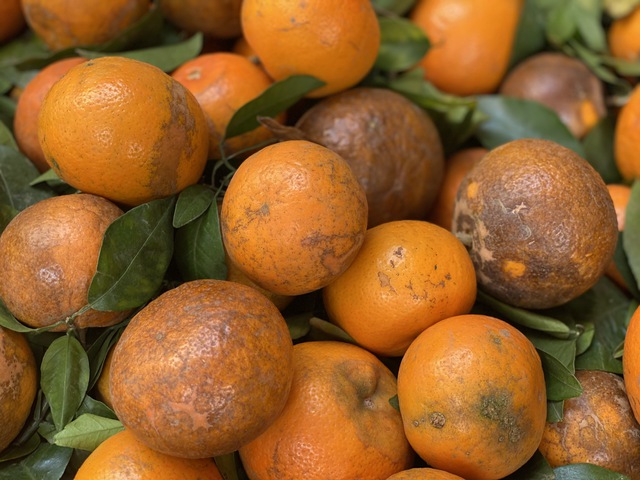 Nhiều loại qu&yacute;t Trung Quốc đang &ldquo;đột lốt&rdquo; h&agrave;ng Việt b&aacute;n tr&agrave;n ngập thị trường - Ảnh 2.