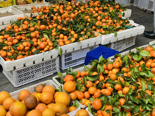 Nhiều loại qu&yacute;t Trung Quốc đang &ldquo;đột lốt&rdquo; h&agrave;ng Việt b&aacute;n tr&agrave;n ngập thị trường - Ảnh 4.