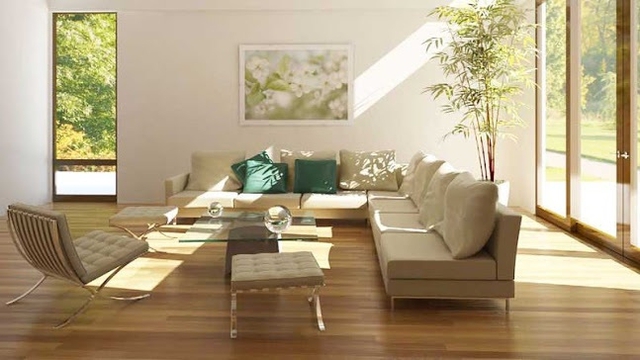 Cách tăng dương khí trong nhà, bảo vệ sức khỏe, đón rước tài lộc - Ảnh 1. Cách tăng dương khí trong nhà, bảo vệ sức khỏe, đón rước tài lộc - Ảnh 1.