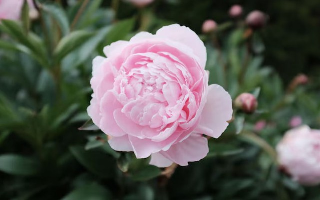 Số cuối ng&agrave;y sinh &Acirc;m lịch n&oacute;i g&igrave; về con đường t&agrave;i lộc của bạn? - Ảnh 1.