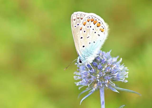 Tử vi tiết lộ 5 khung giờ sinh được coi l&agrave; 'mệnh c&oacute; của' - Ảnh 2.