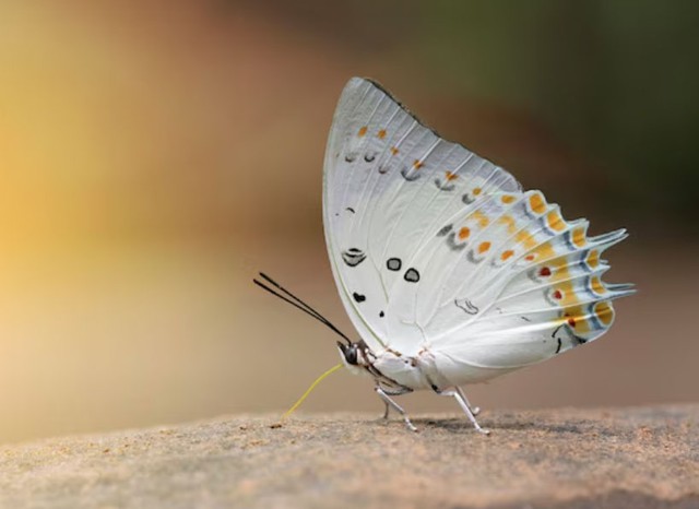 Tử vi tiết lộ 5 khung giờ sinh được coi l&agrave; 'mệnh c&oacute; của' - Ảnh 3.